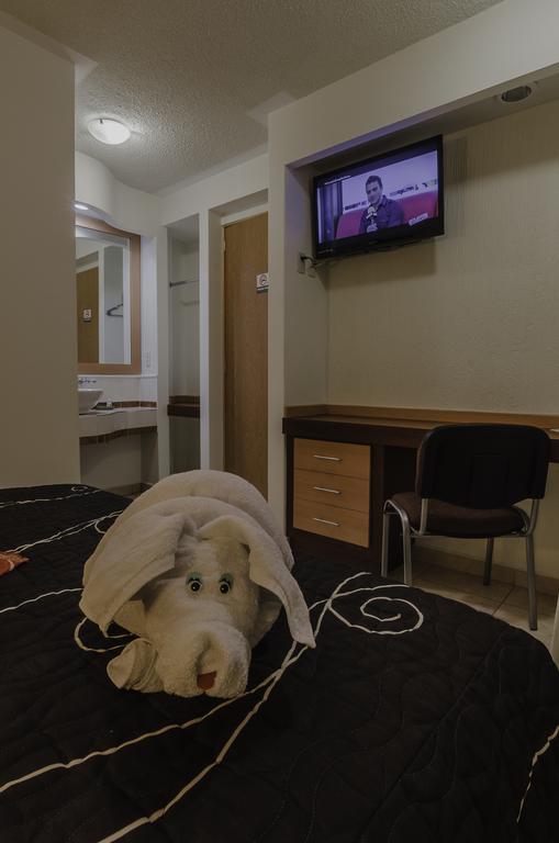 Hotel Petit Tehuacan Phòng bức ảnh