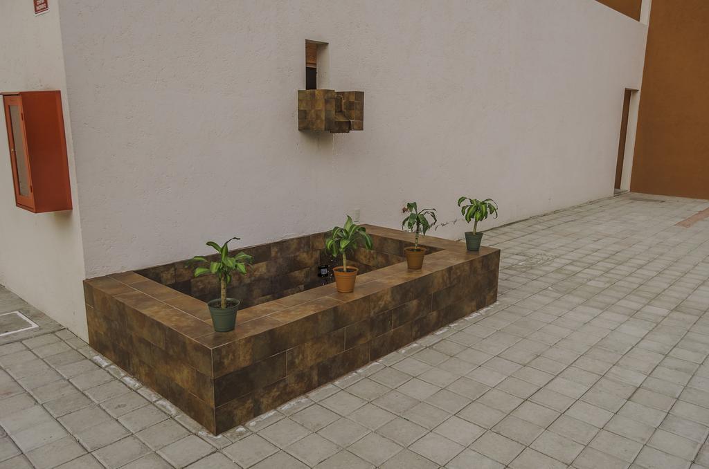 Hotel Petit Tehuacan Ngoại thất bức ảnh